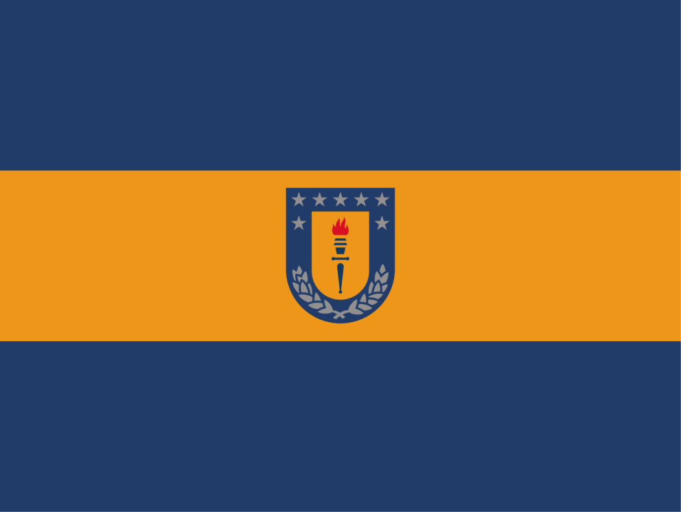 Bandera de la Universidad de Concepción