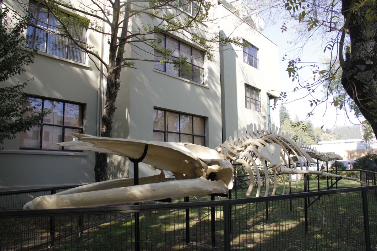 Facultad de Ciencias Naturales y Oceanográficas